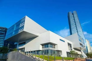 2017年12月，松岗人 文化艺术交流与策划的忙碌时光