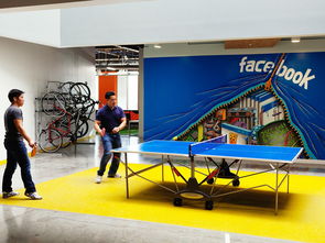 装点Facebook办公区 以文化艺术展现企业精神与人文交流